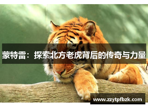 蒙特雷:探索北方老虎背后的传奇与力量 蒙特雷:探索北方老虎背后的传奇与力量